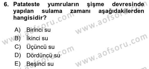 Tarla Bitkileri 2 Dersi 2023 - 2024 Yılı Yaz Okulu Sınav Soruları 6. Soru