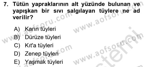 Tarla Bitkileri 2 Dersi 2023 - 2024 Yılı Yaz Okulu Sınav Soruları 7. Soru