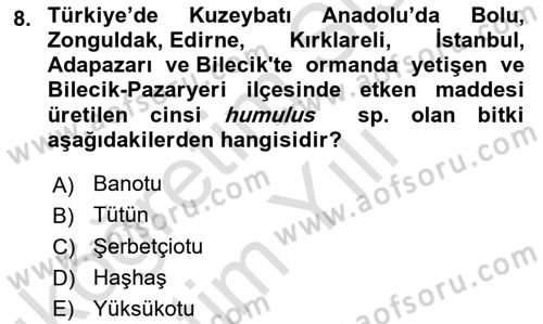 Tarla Bitkileri 2 Dersi 2023 - 2024 Yılı Yaz Okulu Sınav Soruları 8. Soru