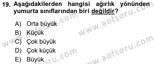 Tarım Alet ve Makinaları Dersi 2016 - 2017 Yılı 3 Ders Sınav Soruları 19. Soru