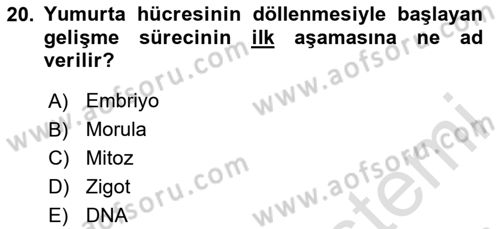 Tarım Alet ve Makinaları Dersi 2020 - 2021 Yılı Yaz Okulu Sınav Soruları 20. Soru
