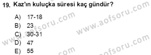 Tarım Alet ve Makinaları Dersi 2021 - 2022 Yılı (Final) Dönem Sonu Sınav Soruları 19. Soru