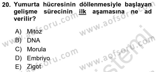 Tarım Alet ve Makinaları Dersi 2022 - 2023 Yılı Yaz Okulu Sınav Soruları 20. Soru