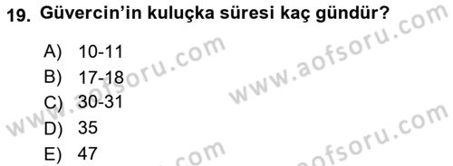 Tarım Alet ve Makinaları Dersi 2023 - 2024 Yılı Yaz Okulu Sınav Soruları 19. Soru