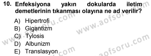 Fitopatoloji Dersi 2012 - 2013 Yılı (Vize) Ara Sınav Soruları 10. Soru