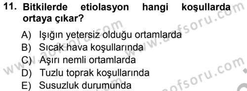 Fitopatoloji Dersi 2012 - 2013 Yılı (Vize) Ara Sınav Soruları 11. Soru