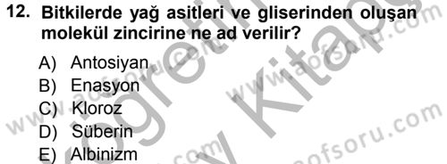 Fitopatoloji Dersi 2012 - 2013 Yılı (Vize) Ara Sınav Soruları 12. Soru
