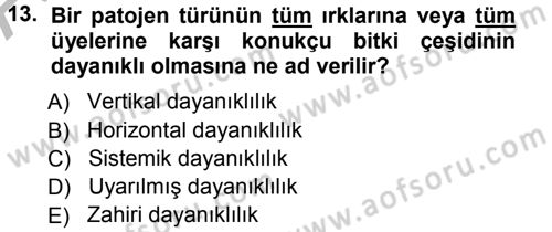 Fitopatoloji Dersi 2012 - 2013 Yılı (Vize) Ara Sınav Soruları 13. Soru