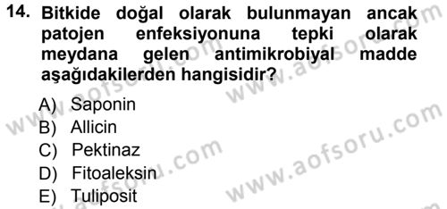 Fitopatoloji Dersi 2012 - 2013 Yılı (Vize) Ara Sınav Soruları 14. Soru