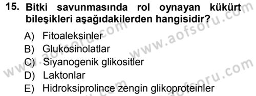 Fitopatoloji Dersi 2012 - 2013 Yılı (Vize) Ara Sınav Soruları 15. Soru