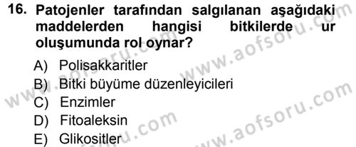 Fitopatoloji Dersi 2012 - 2013 Yılı (Vize) Ara Sınav Soruları 16. Soru