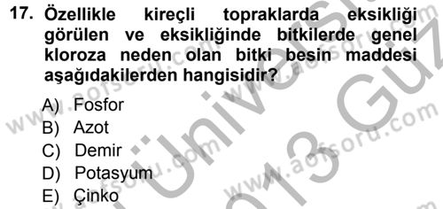 Fitopatoloji Dersi 2012 - 2013 Yılı (Vize) Ara Sınav Soruları 17. Soru