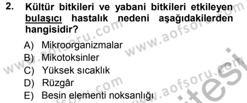 Fitopatoloji Dersi 2012 - 2013 Yılı (Vize) Ara Sınav Soruları 2. Soru