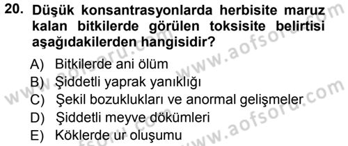 Fitopatoloji Dersi 2012 - 2013 Yılı (Vize) Ara Sınav Soruları 20. Soru