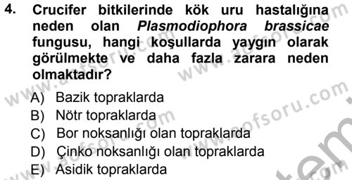 Fitopatoloji Dersi 2012 - 2013 Yılı (Vize) Ara Sınav Soruları 4. Soru