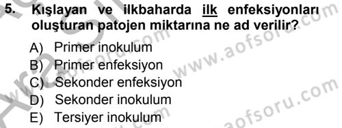 Fitopatoloji Dersi 2012 - 2013 Yılı (Vize) Ara Sınav Soruları 5. Soru