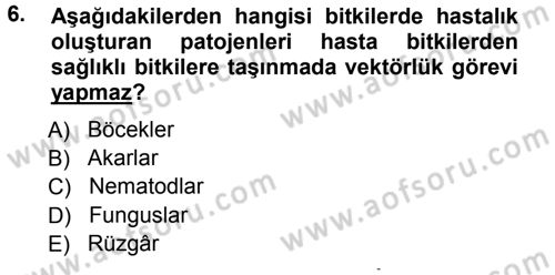 Fitopatoloji Dersi 2012 - 2013 Yılı (Vize) Ara Sınav Soruları 6. Soru