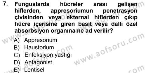 Fitopatoloji Dersi 2012 - 2013 Yılı (Vize) Ara Sınav Soruları 7. Soru