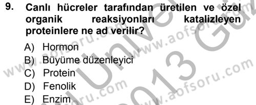 Fitopatoloji Dersi 2012 - 2013 Yılı (Vize) Ara Sınav Soruları 9. Soru