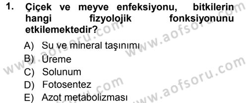 Fitopatoloji Dersi 2012 - 2013 Yılı (Final) Dönem Sonu Sınav Soruları 1. Soru