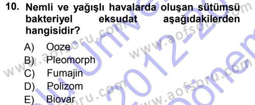 Fitopatoloji Dersi 2012 - 2013 Yılı (Final) Dönem Sonu Sınav Soruları 10. Soru