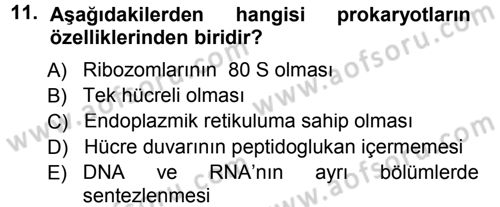 Fitopatoloji Dersi 2012 - 2013 Yılı (Final) Dönem Sonu Sınav Soruları 11. Soru