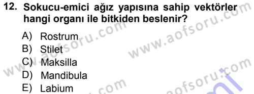 Fitopatoloji Dersi 2012 - 2013 Yılı (Final) Dönem Sonu Sınav Soruları 12. Soru