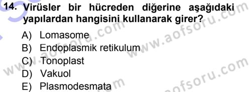 Fitopatoloji Dersi 2012 - 2013 Yılı (Final) Dönem Sonu Sınav Soruları 14. Soru