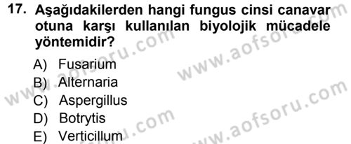 Fitopatoloji Dersi 2012 - 2013 Yılı (Final) Dönem Sonu Sınav Soruları 17. Soru