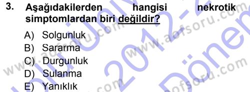 Fitopatoloji Dersi 2012 - 2013 Yılı (Final) Dönem Sonu Sınav Soruları 3. Soru