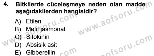 Fitopatoloji Dersi 2012 - 2013 Yılı (Final) Dönem Sonu Sınav Soruları 4. Soru