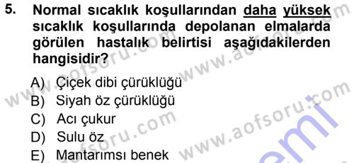 Fitopatoloji Dersi 2012 - 2013 Yılı (Final) Dönem Sonu Sınav Soruları 5. Soru
