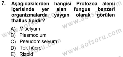 Fitopatoloji Dersi 2012 - 2013 Yılı (Final) Dönem Sonu Sınavı 7. Soru