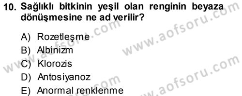 Fitopatoloji Dersi 2013 - 2014 Yılı (Vize) Ara Sınav Soruları 10. Soru