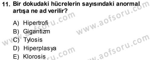 Fitopatoloji Dersi 2013 - 2014 Yılı (Vize) Ara Sınav Soruları 11. Soru