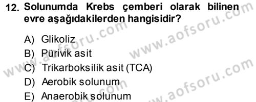 Fitopatoloji Dersi 2013 - 2014 Yılı (Vize) Ara Sınav Soruları 12. Soru