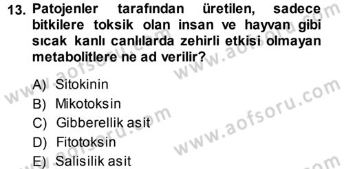 Fitopatoloji Dersi 2013 - 2014 Yılı (Vize) Ara Sınav Soruları 13. Soru
