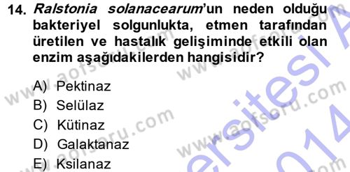 Fitopatoloji Dersi 2013 - 2014 Yılı (Vize) Ara Sınav Soruları 14. Soru