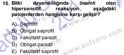 Fitopatoloji Dersi 2013 - 2014 Yılı (Vize) Ara Sınav Soruları 15. Soru