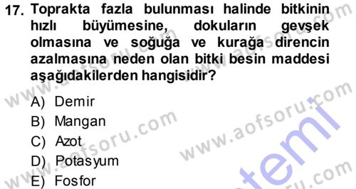 Fitopatoloji Dersi 2013 - 2014 Yılı (Vize) Ara Sınav Soruları 17. Soru