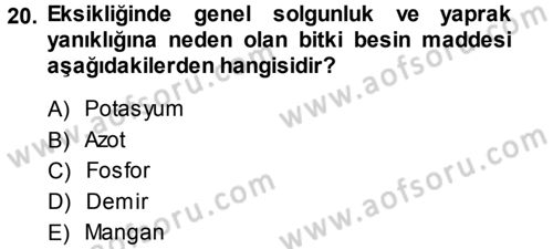 Fitopatoloji Dersi 2013 - 2014 Yılı (Vize) Ara Sınav Soruları 20. Soru