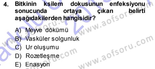 Fitopatoloji Dersi 2013 - 2014 Yılı (Vize) Ara Sınav Soruları 4. Soru