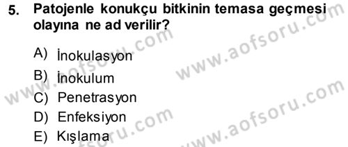 Fitopatoloji Dersi 2013 - 2014 Yılı (Vize) Ara Sınav Soruları 5. Soru