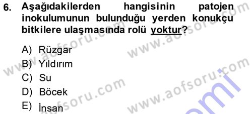 Fitopatoloji Dersi 2013 - 2014 Yılı (Vize) Ara Sınav Soruları 6. Soru