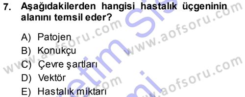 Fitopatoloji Dersi 2013 - 2014 Yılı (Vize) Ara Sınav Soruları 7. Soru