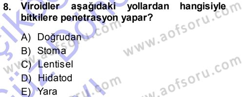 Fitopatoloji Dersi 2013 - 2014 Yılı (Vize) Ara Sınav Soruları 8. Soru