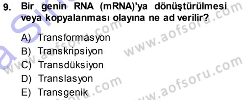 Fitopatoloji Dersi 2013 - 2014 Yılı (Vize) Ara Sınav Soruları 9. Soru