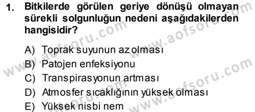 Fitopatoloji Dersi 2013 - 2014 Yılı (Final) Dönem Sonu Sınav Soruları 1. Soru