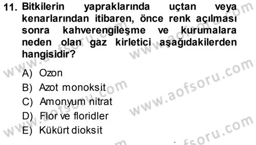 Fitopatoloji Dersi 2013 - 2014 Yılı (Final) Dönem Sonu Sınav Soruları 11. Soru