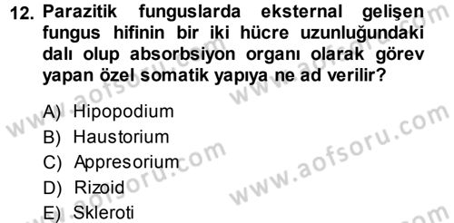Fitopatoloji Dersi 2013 - 2014 Yılı (Final) Dönem Sonu Sınav Soruları 12. Soru